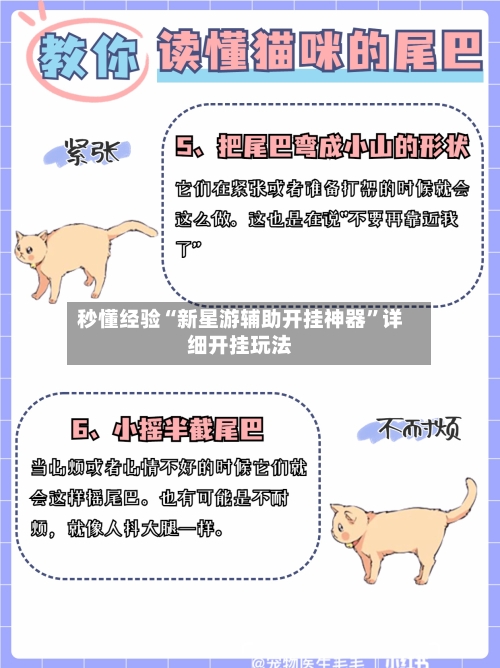 秒懂经验“新星游辅助开挂神器”详细开挂玩法-第2张图片