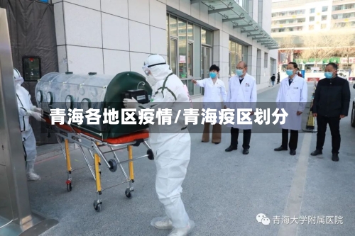 青海各地区疫情/青海疫区划分