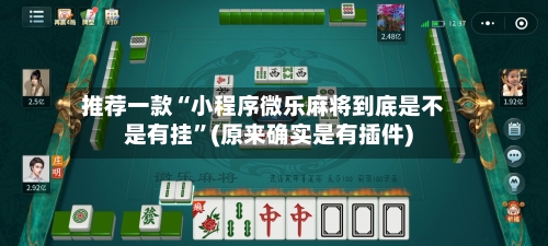 推荐一款“小程序微乐麻将到底是不是有挂”(原来确实是有插件)