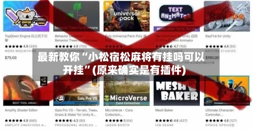 最新教你“小松宿松麻将有挂吗可以开挂”(原来确实是有插件)-第2张图片