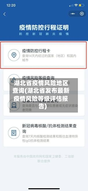 湖北省疫情风险地区查询(湖北省发布最新疫情风险等级评估报告)-第2张图片