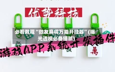 必看教程“微友麻将万能开挂器”(曝光透视必备猫腻)-第2张图片