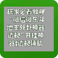 玩家必看教程“微信微乐斗地主外卦神器透视”开挂神器{透视辅助}全揭秘-第2张图片