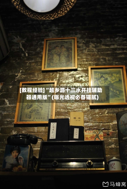 [教程经验]“越乡游十三水开挂辅助器通用版”(曝光透视必备猫腻)