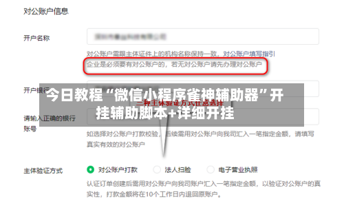 今日教程“微信小程序雀神辅助器”开挂辅助脚本+详细开挂-第2张图片