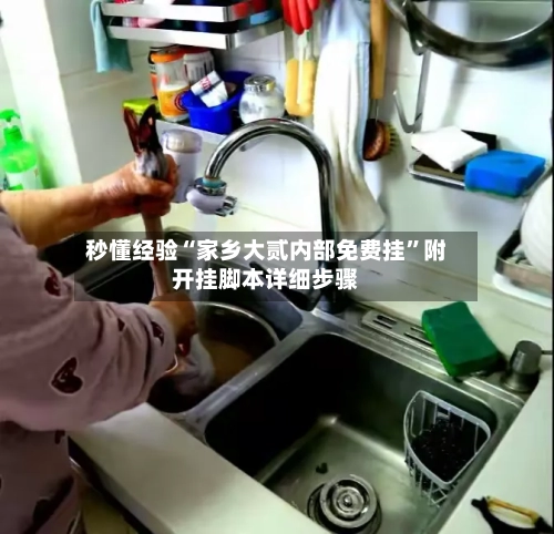 秒懂经验“家乡大贰内部免费挂	”附开挂脚本详细步骤-第2张图片