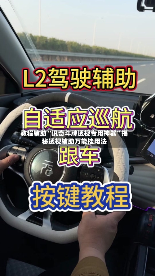 教程辅助“讯奇斗牌透视专用神器”揭秘透视辅助万能挂用法-第2张图片