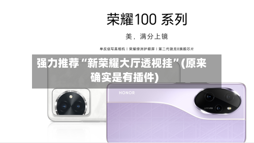 强力推荐“新荣耀大厅透视挂”(原来确实是有插件)-第3张图片