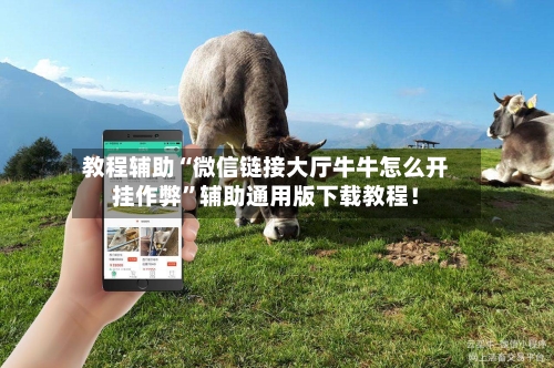 教程辅助“微信链接大厅牛牛怎么开挂作弊”辅助通用版下载教程！