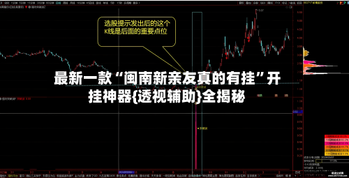 最新一款“闽南新亲友真的有挂”开挂神器{透视辅助}全揭秘-第2张图片