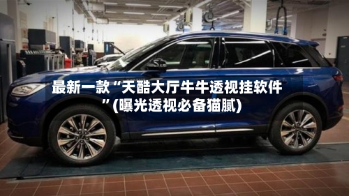 最新一款“天酷大厅牛牛透视挂软件”(曝光透视必备猫腻)-第2张图片