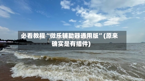 必看教程“微乐辅助器通用版”(原来确实是有插件)-第3张图片