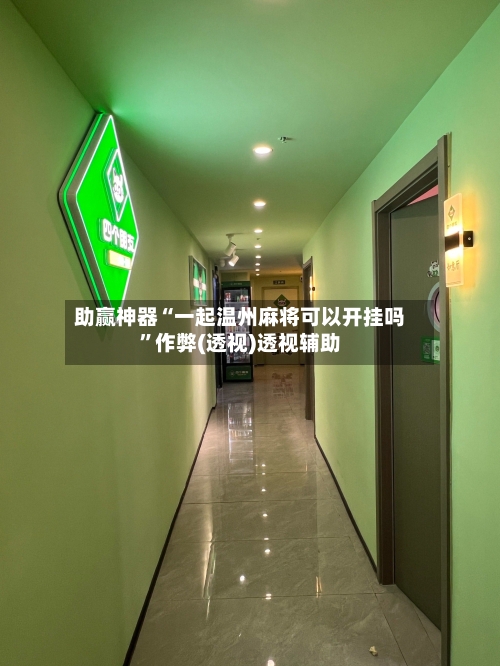 助赢神器“一起温州麻将可以开挂吗”作弊(透视)透视辅助-第3张图片