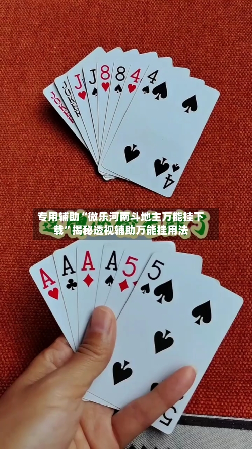 专用辅助“微乐河南斗地主万能挂下载”揭秘透视辅助万能挂用法-第3张图片