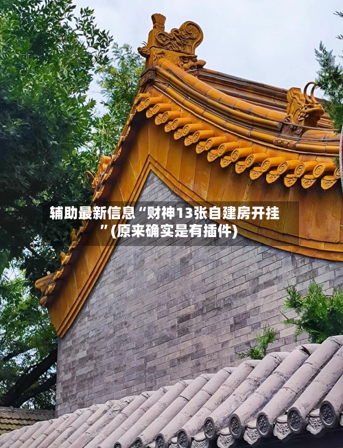 辅助最新信息“财神13张自建房开挂	”(原来确实是有插件)-第2张图片