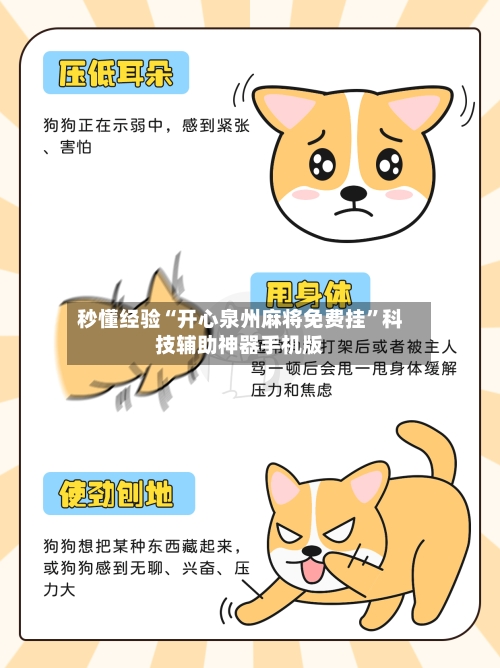 秒懂经验“开心泉州麻将免费挂	”科技辅助神器手机版-第3张图片