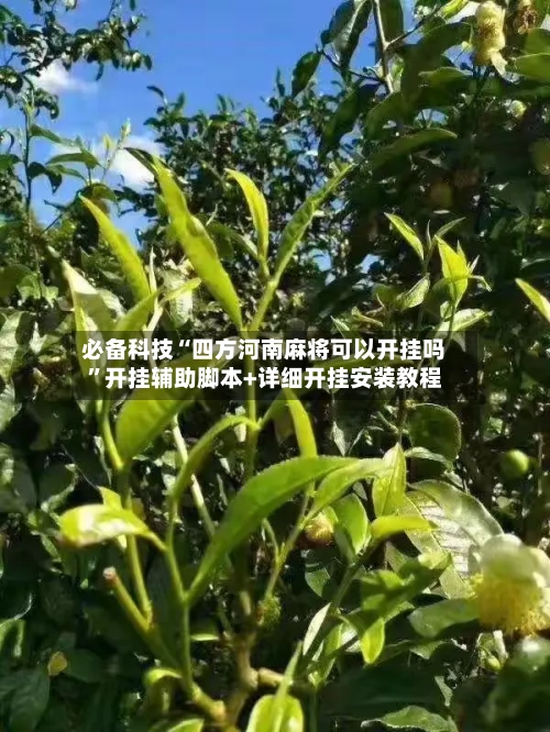 必备科技“四方河南麻将可以开挂吗”开挂辅助脚本+详细开挂安装教程-第2张图片
