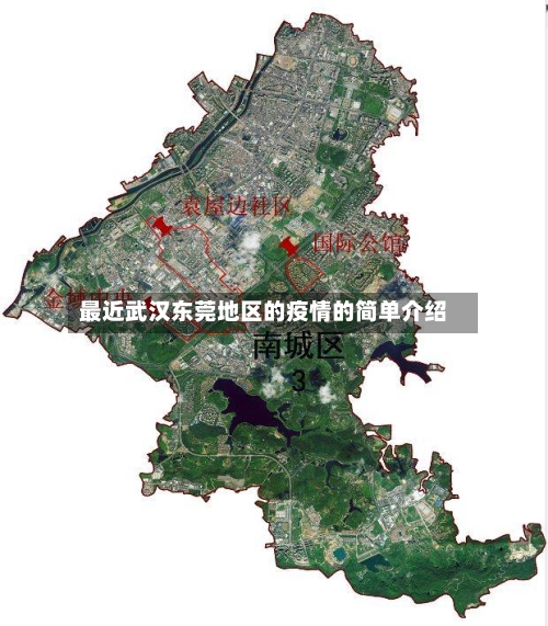 最近武汉东莞地区的疫情的简单介绍