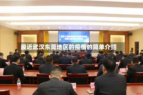 最近武汉东莞地区的疫情的简单介绍-第2张图片