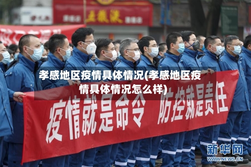 孝感地区疫情具体情况(孝感地区疫情具体情况怎么样)