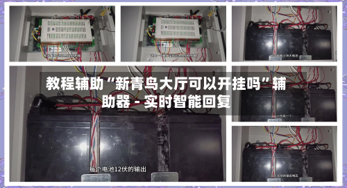 教程辅助“新青鸟大厅可以开挂吗”辅助器 - 实时智能回复-第2张图片