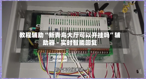 教程辅助“新青鸟大厅可以开挂吗”辅助器 - 实时智能回复-第3张图片