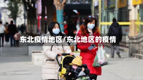 东北疫情地区/东北地区的疫情