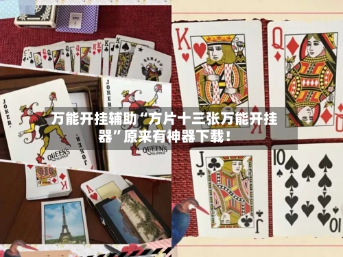 万能开挂辅助“方片十三张万能开挂器”原来有神器下载！-第2张图片