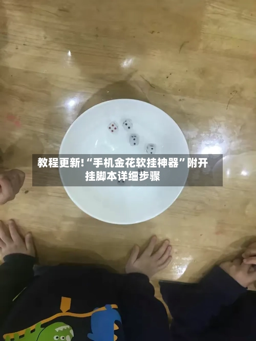 教程更新!“手机金花软挂神器	”附开挂脚本详细步骤-第2张图片