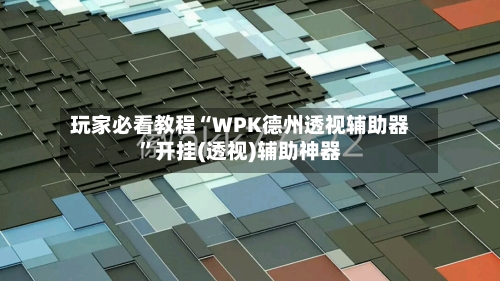 玩家必看教程“WPK德州透视辅助器”开挂(透视)辅助神器-第3张图片