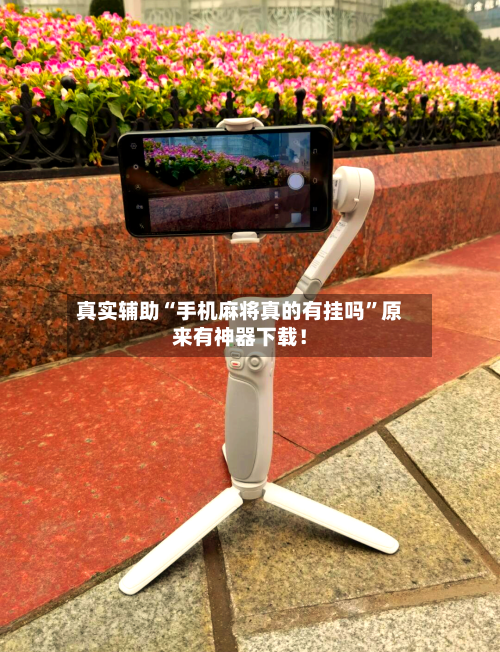 真实辅助“手机麻将真的有挂吗”原来有神器下载！-第2张图片