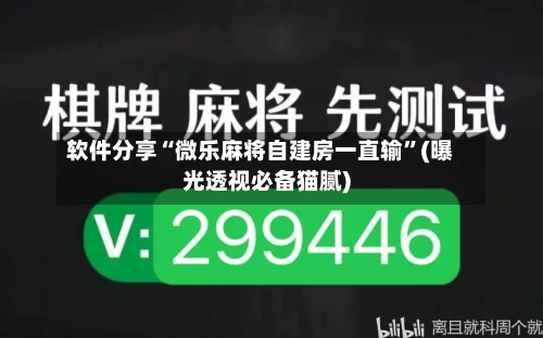 软件分享“微乐麻将自建房一直输”(曝光透视必备猫腻)-第3张图片