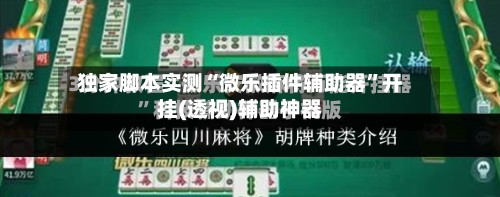 独家脚本实测“微乐插件辅助器	”开挂(透视)辅助神器-第2张图片