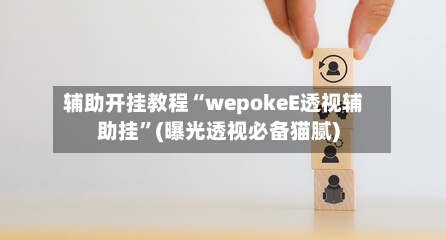 辅助开挂教程“wepokeE透视辅助挂”(曝光透视必备猫腻)
