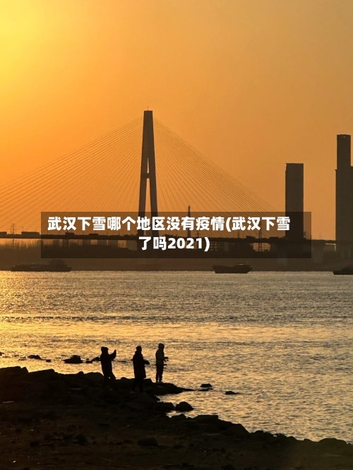 武汉下雪哪个地区没有疫情(武汉下雪了吗2021)