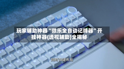 玩家辅助神器“微乐全自动记牌器”开挂神器{透视辅助}全揭秘-第3张图片