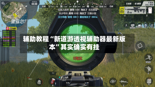 辅助教程“新道游透视辅助器最新版本”其实确实有挂
