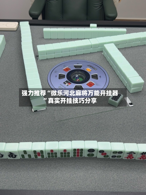 强力推荐“微乐河北麻将万能开挂器”真实开挂技巧分享-第2张图片