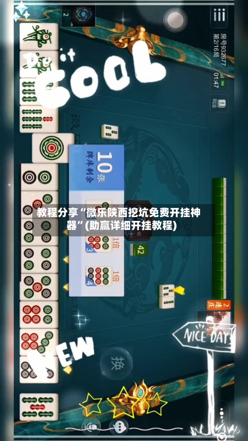 教程分享“微乐陕西挖坑免费开挂神器”(助赢详细开挂教程)-第3张图片