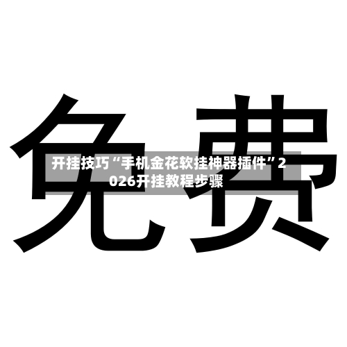 开挂技巧“手机金花软挂神器插件”2026开挂教程步骤