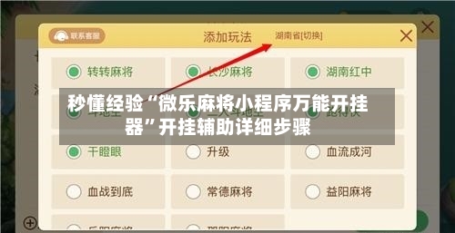 秒懂经验“微乐麻将小程序万能开挂器”开挂辅助详细步骤-第3张图片