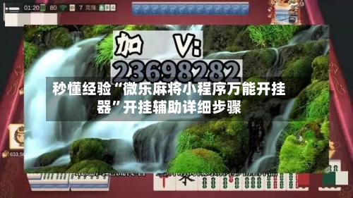 秒懂经验“微乐麻将小程序万能开挂器”开挂辅助详细步骤-第2张图片