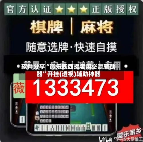 软件分享“微乐陕西捉老麻必赢辅助器”开挂(透视)辅助神器-第2张图片