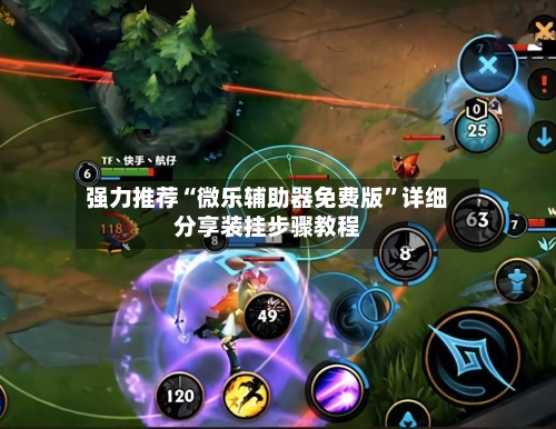 强力推荐“微乐辅助器免费版”详细分享装挂步骤教程-第2张图片