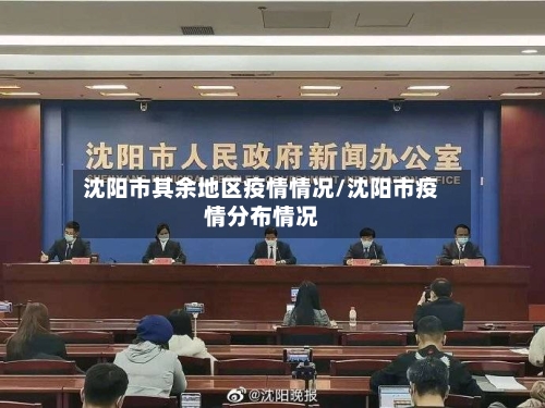 沈阳市其余地区疫情情况/沈阳市疫情分布情况-第2张图片