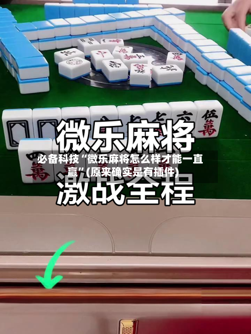 必备科技“微乐麻将怎么样才能一直赢	”(原来确实是有插件)-第2张图片