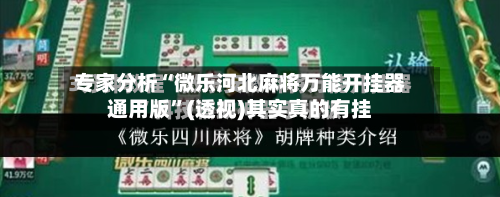 专家分析“微乐河北麻将万能开挂器通用版”(透视)其实真的有挂-第2张图片