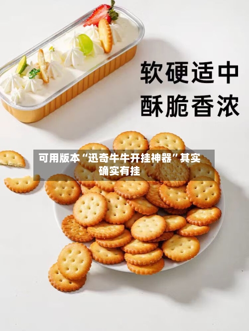 可用版本“迅奇牛牛开挂神器”其实确实有挂-第2张图片