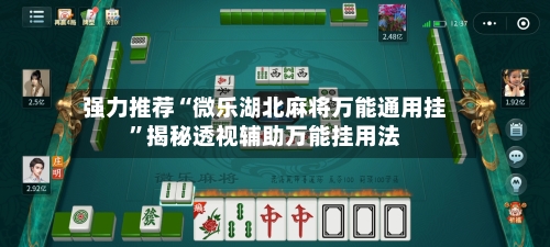 强力推荐“微乐湖北麻将万能通用挂	”揭秘透视辅助万能挂用法-第2张图片