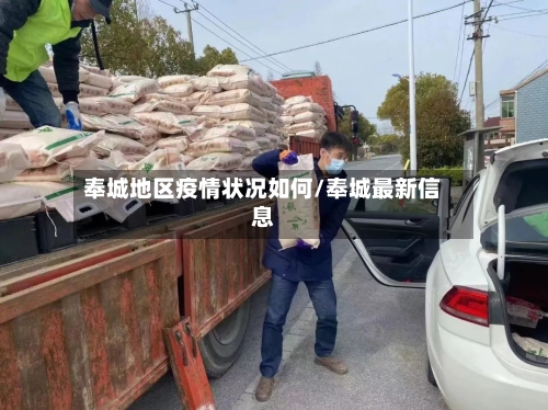 奉城地区疫情状况如何/奉城最新信息-第2张图片